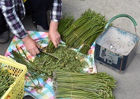 DSC_7860-trimmed-20%