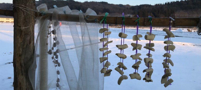 AGROECOLOGY IN JAPAN AND THE AMERICAS: HISTORY, PRACTICE AND FUTURE DIRECTIONS (1-5PM, April 26):&nbsp;Abstracts